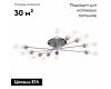 Потолочная люстра Citilux Хеликс CL109101