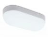 Уличный потолочный светильник Ambrella Light Street ST8666