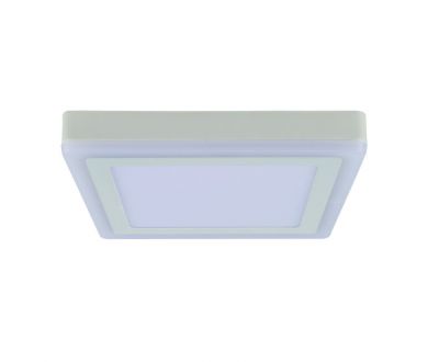 Потолочный светодиодный светильник Arte Lamp Altair A7724PL-2WH