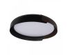 Потолочный светильник Loft IT Coin 10198 Black