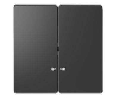 Клавиша двойная Schneider Electric Merten D-Life MTN3420-6034