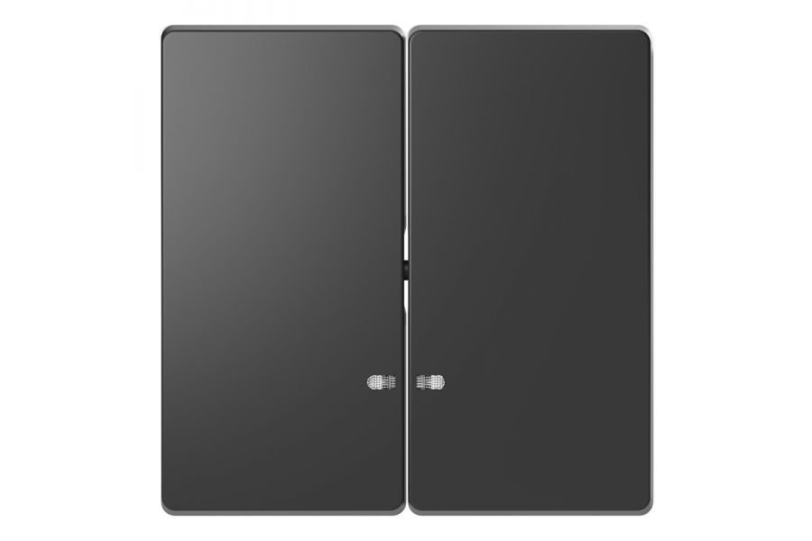 Клавиша двойная Schneider Electric Merten D-Life MTN3420-6034