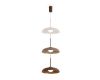 Подвесной светильник Freya Movement FR5602PL-L5BR1