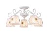Потолочная люстра Arte Lamp 72 A5495PL-5WG
