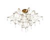 Потолочная люстра ST Luce Gravetta SL6601.202.78