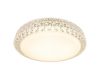 Потолочный светодиодный светильник Arte Lamp Celeste A1569PL-1CL