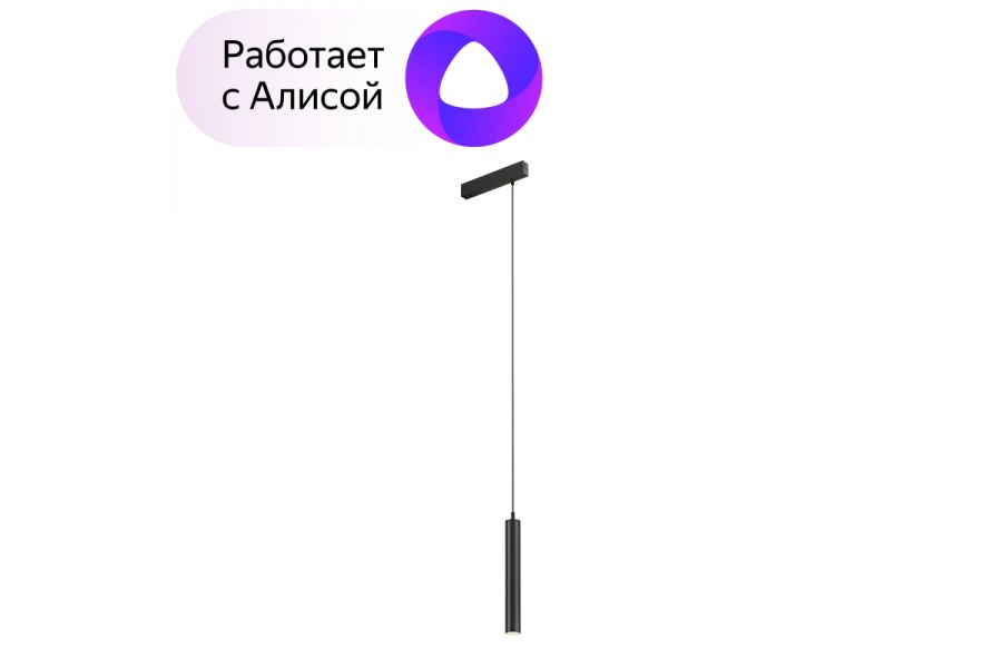 Трековый светильник Denkirs Smart DK8008-BK