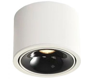 Накладной светильник Wertmark Altair WTA.O06.067.30.12