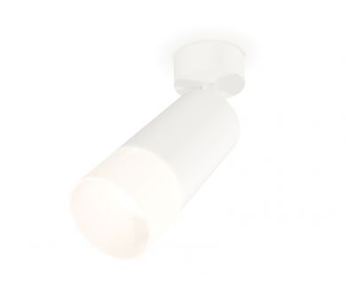 Спот Ambrella Light Techno Spot XM6322012 (A2202, C6322, N6252)