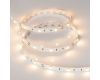 Светодиодная лента Arlight Rt-b30-10mm 5060 018102(2)