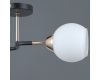 Потолочный светильник Illumico IL0689-2CSQ-24 BK FGD LIBRA