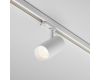 Трековый трехфазный светильник Maytoni Focus Led TR197-3-20WCCT-M-W