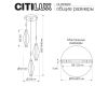 Подвесной светильник Citilux Tanna CL253020