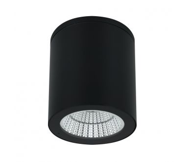 Уличный потолочный светильник Arte Lamp Torcular A1813PF-1BK