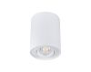 Накладной светильник Kanlux Bord DLP-50-W  22551