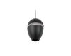 Подвесной светильник Loft IT Viterbo 10336 Black