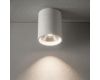 Потолочный светильник с переключателем цв. температуры Crystal Lux CLT 075C WH