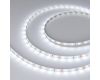 Светодиодная лента Arlight RT-A60-8mm 12V White6000 (2 W/m, IP20, 2835, 50m) 029752(3)