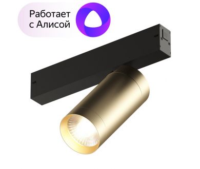 Трековый светильник Denkirs Smart Spot DK8020-BG