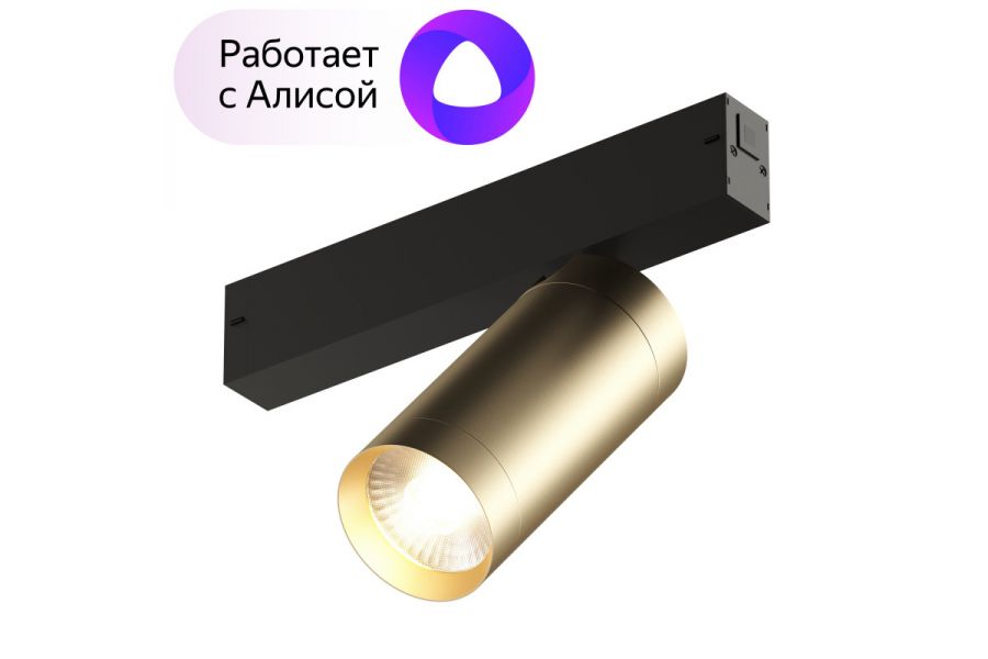 Трековый светильник Denkirs Smart Spot DK8020-BG