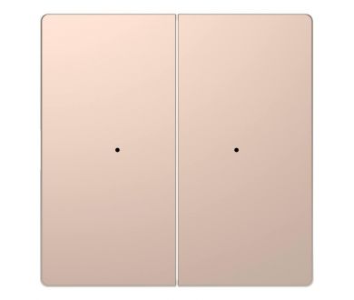 Клавиша двойная Schneider Electric Merten D-Life MTN5220-6051