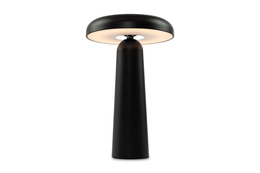 Настольная аккумуляторная лампа Freya Mushroom FR6109TL-L4B