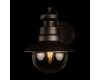 Уличный настенный светильник Loft IT Piemonte 100022W