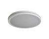 Потолочный светильник Freya Rua FR6160CL-L40W