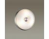 Настенно-потолочный светильник Odeon Light Pelow 4957/2