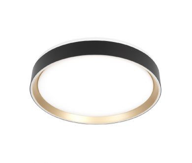 Потолочный светильник Citilux Boss CL751351G