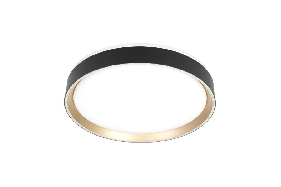 Потолочный светильник Citilux Boss CL751351G