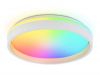 Потолочный светильник Ambrella Light Orbital Dance FZ601