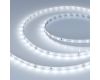 Светодиодная лента Arlight UL-A60-8mm 24V White6000 (4.8 W/m, IP20, 5m) 042280