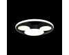 Потолочный светильник Loft IT Mike 10165