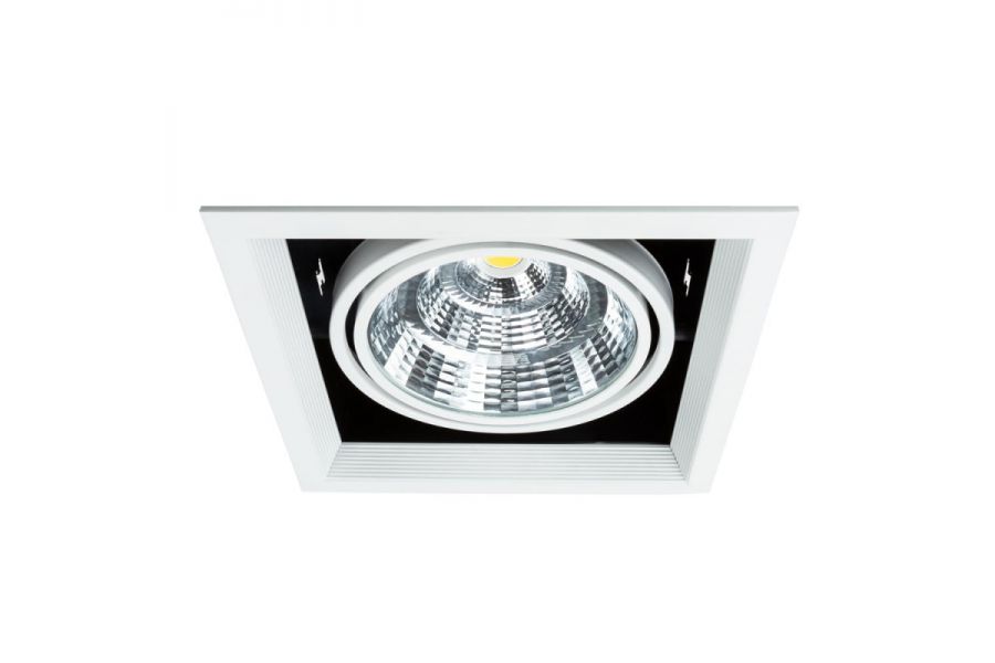 Встраиваемый светильник Arte Lamp Merga A8450PL-1WH