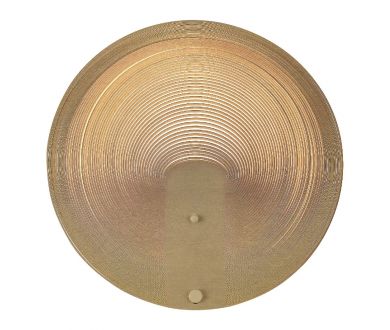 Настенный светильник ST Luce Fossil SL6900.501.16