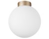 Потолочный светильник Lightstar Globo 812023