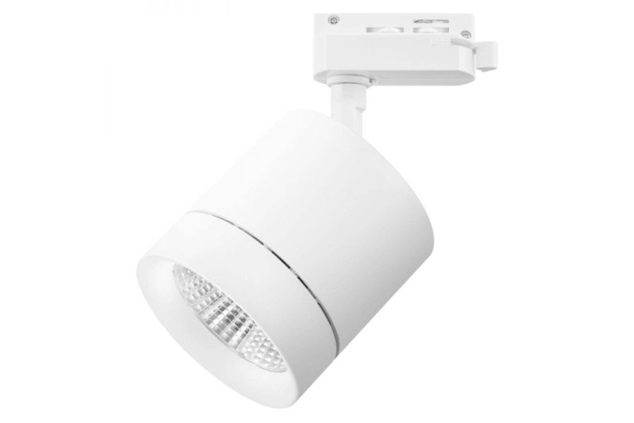 Трековый светодиодный светильник Lightstar Canno Led 301262