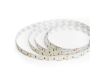 Светодиодная лента 24V Feron LS502, 180*SMD2835, 16W/m, IP20, 3000К (теплый белый) 53089
