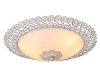 Потолочный светильник Arte Lamp Fleece A4554PL-2WG