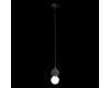 Подвесной светильник Loft IT Quill 10109 Dark grey