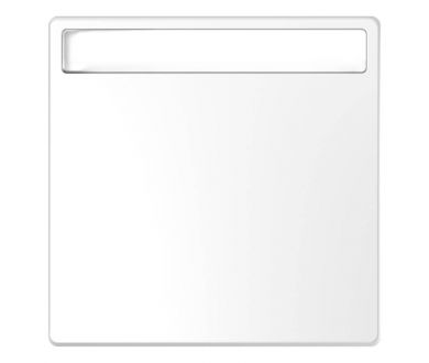 Клавиша одинарная Schneider Electric Merten D-Life MTN3360-6035