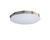 Потолочный светильник Loft IT AXEL 10006/36 White
