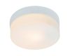 Потолочный светильник Arte Lamp Shirp A3211PL-1WH