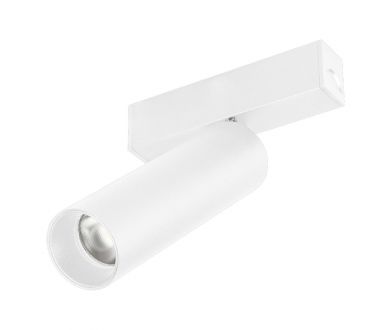Трековый магнитный светильник Arlight MAG-SPOT-25-R120-12W Day4000 050076
