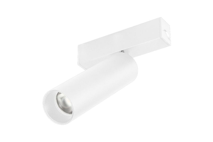 Трековый магнитный светильник Arlight MAG-SPOT-25-R120-12W Day4000 050076