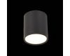 Потолочный светильник ST Luce Rene ST113.442.05