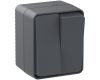 Выключатель 2-клавишный Systeme Electric AtlasDesign Profi54 Наруж Антрацит ATN544051
