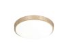 Настенно-потолочный светильник Sonex Losta 7607/CL