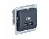 USB Розетка тип-C 65W высокоскор.заряд. QC, PD, мех. Systeme Electric Glossa Антрацит GSL000727